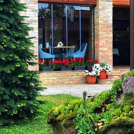 Villa Diva Budureasa Exteriér fotografie