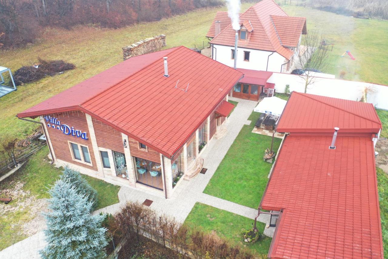 Villa Diva Budureasa Exteriér fotografie