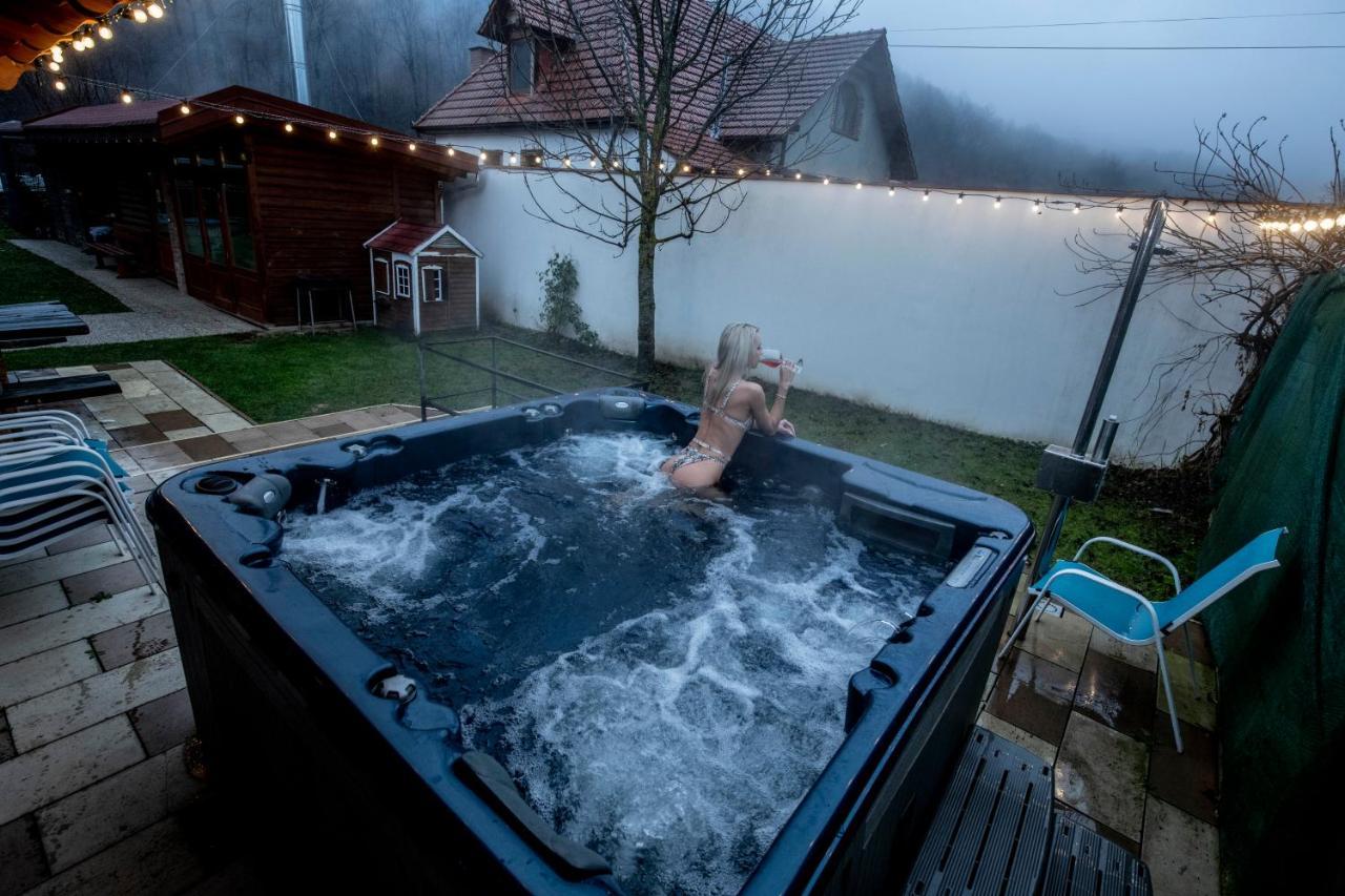 Villa Diva Budureasa Exteriér fotografie