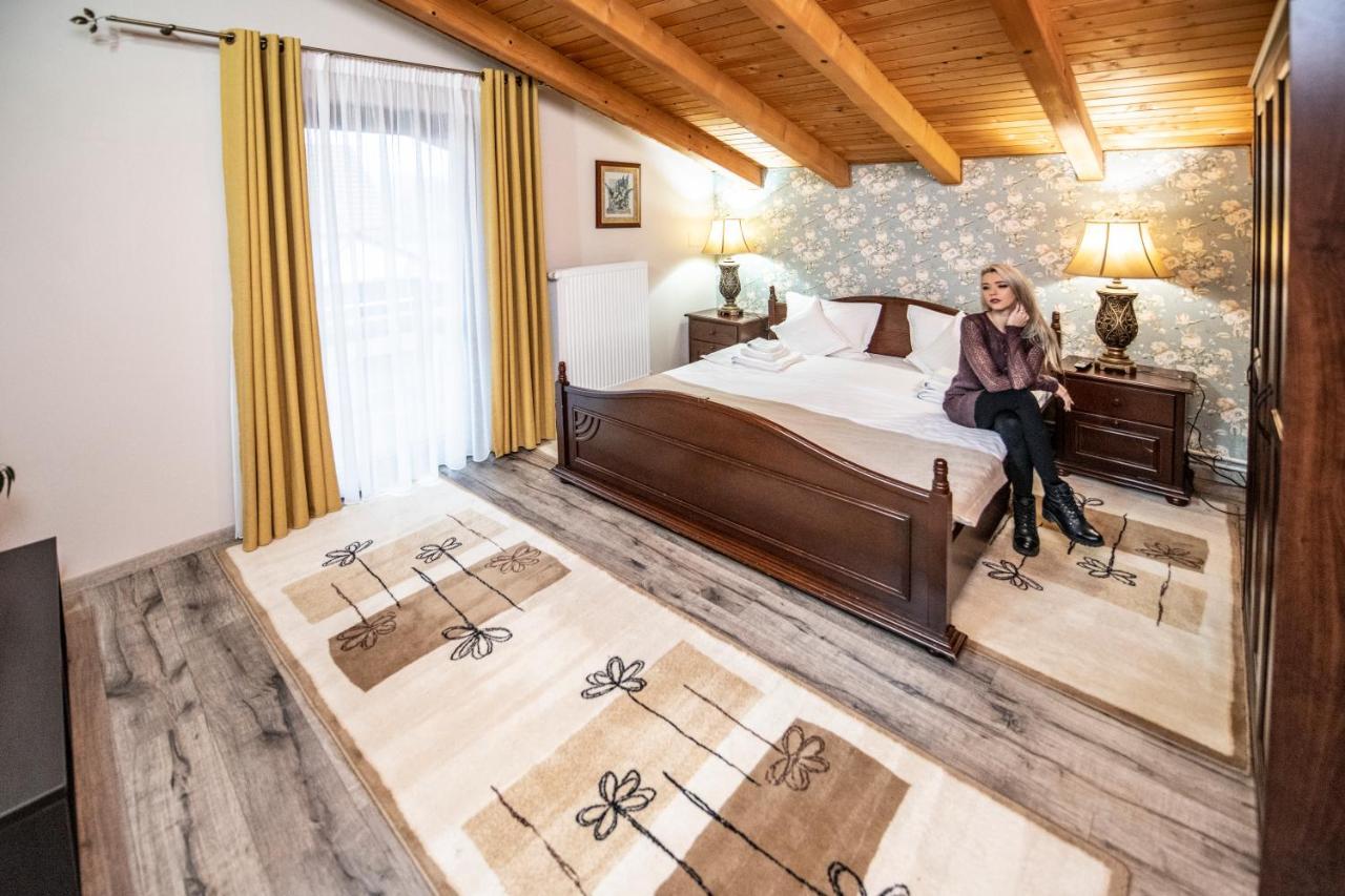 Villa Diva Budureasa Exteriér fotografie