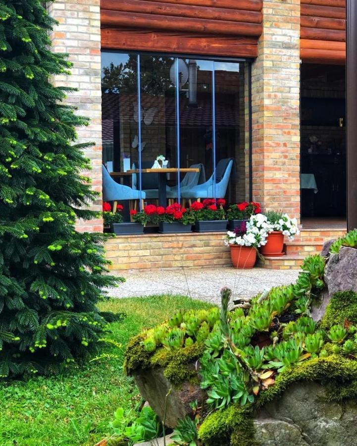 Villa Diva Budureasa Exteriér fotografie