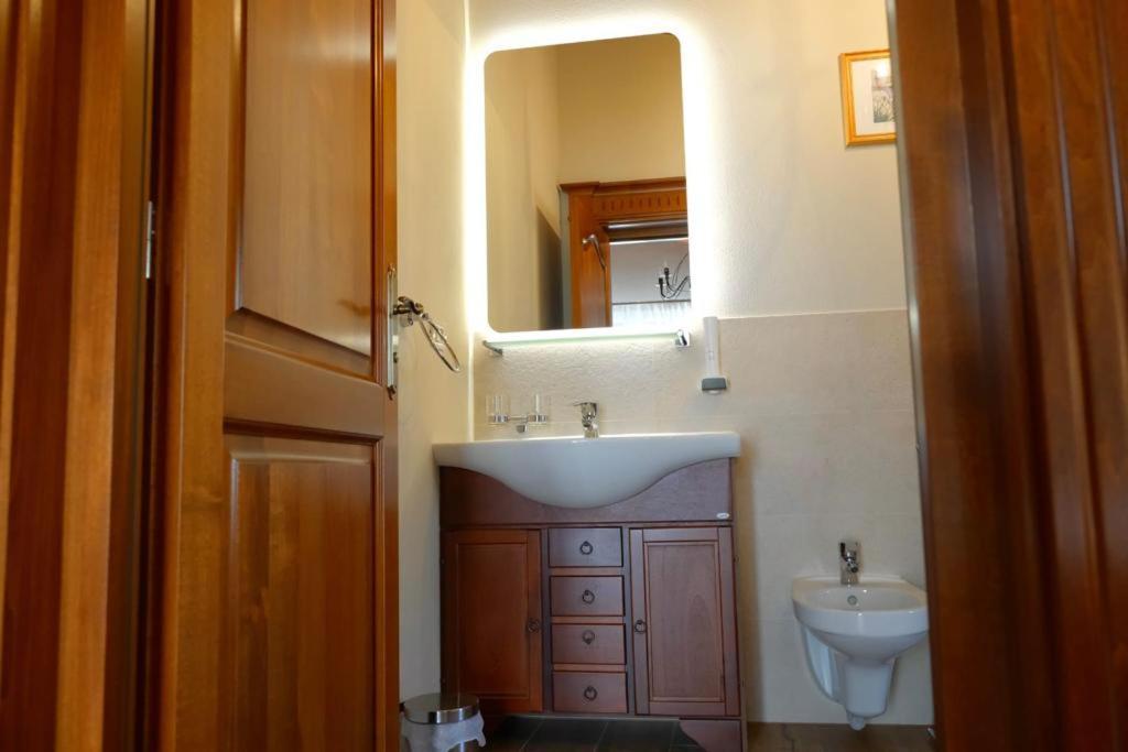 Villa Diva Budureasa Exteriér fotografie