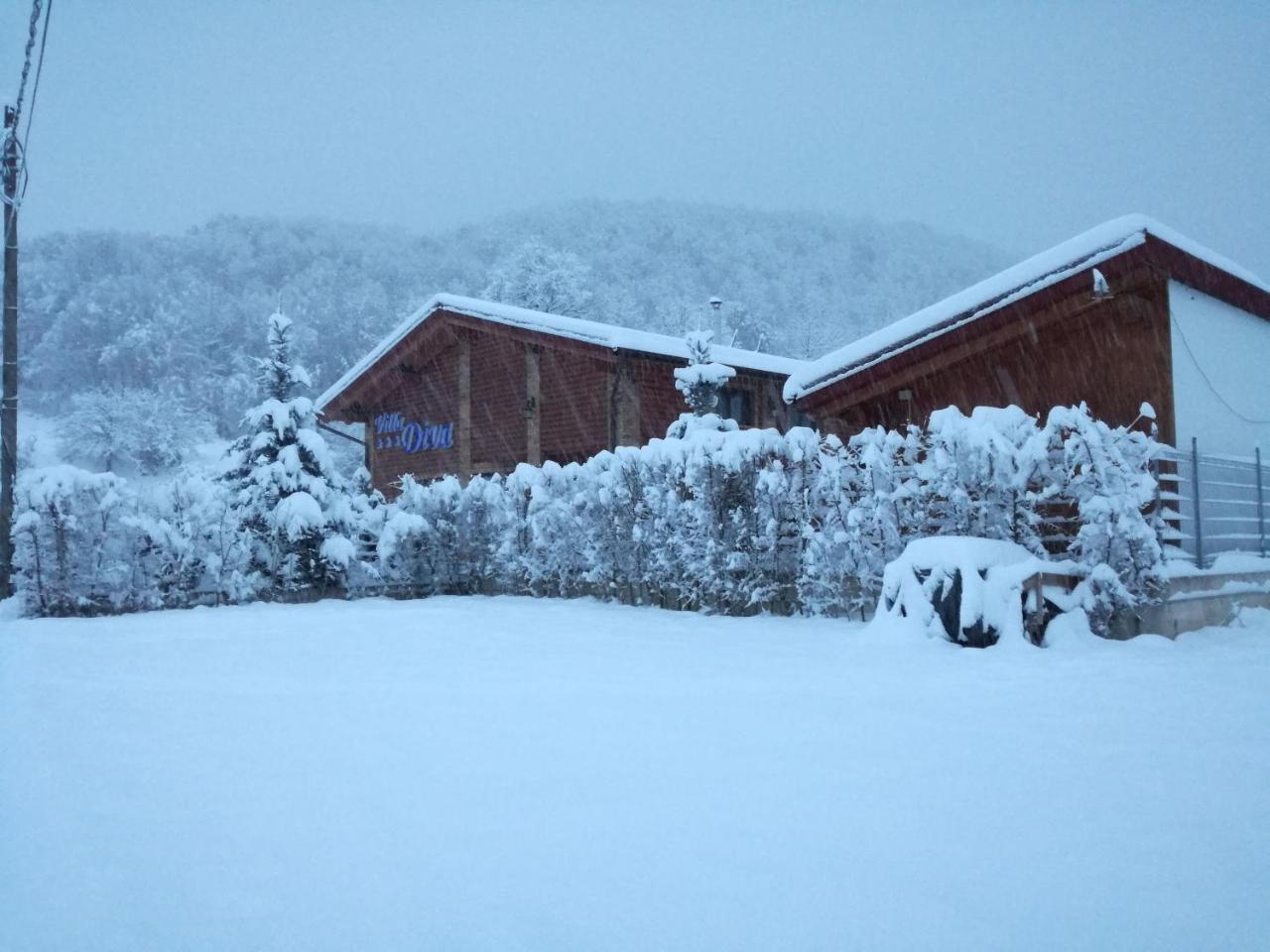 Villa Diva Budureasa Exteriér fotografie